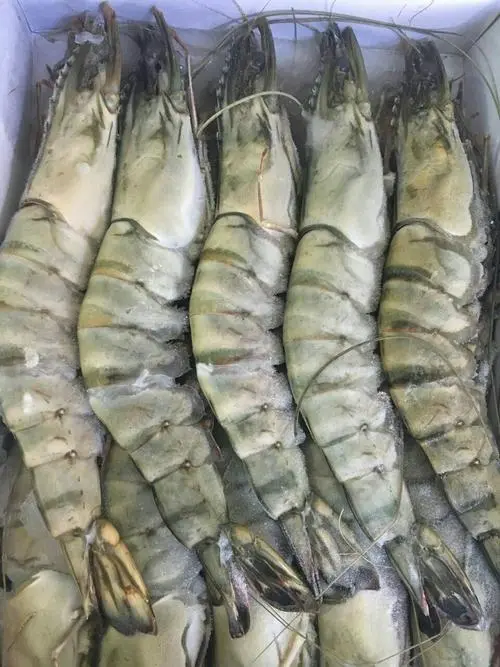 伊朗冻虾进口代理清关要什么文件？
