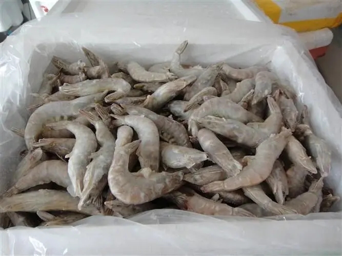 泰国冻虾进口清关手续如何办理？