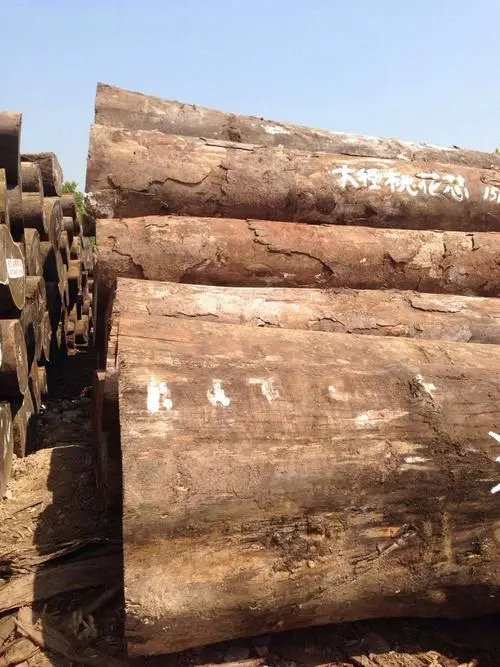 如何办理越南木材海运口岸报关手续？